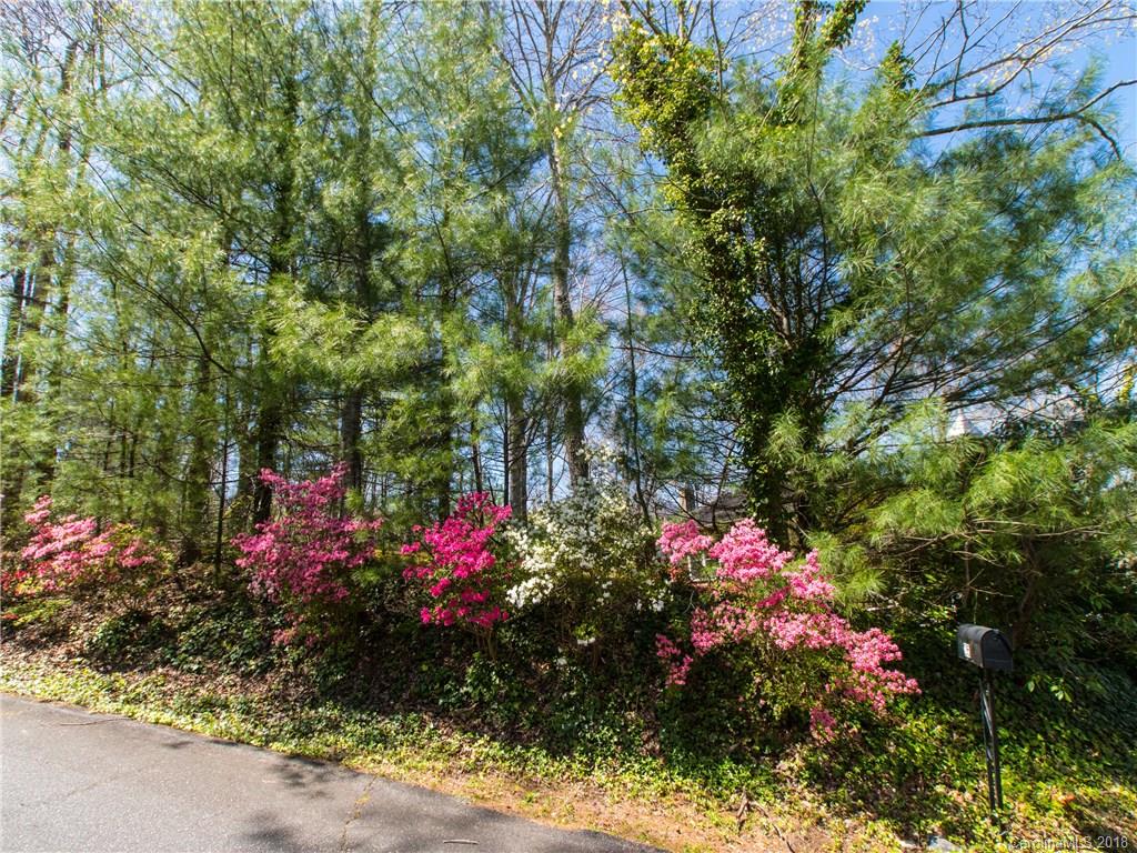 215 Picnic Point Road Lake Lure, NC 28746 - Photo 24 of 31 Gallery Image 24