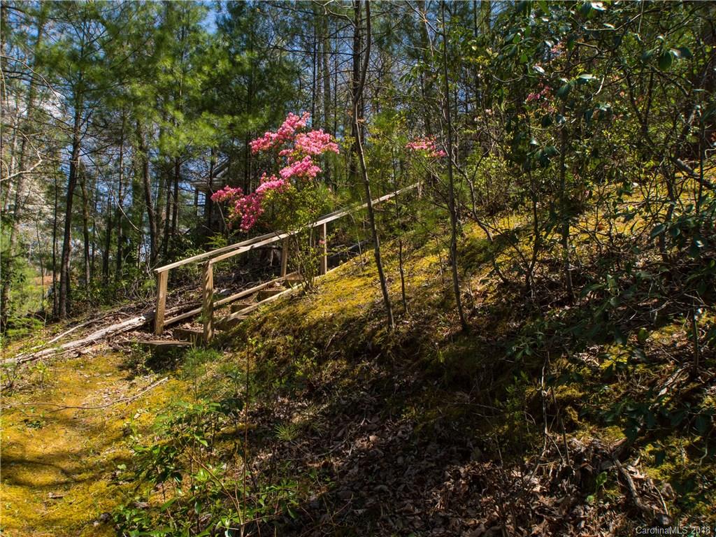 215 Picnic Point Road Lake Lure, NC 28746 - Photo 27 of 31 Gallery Image 27