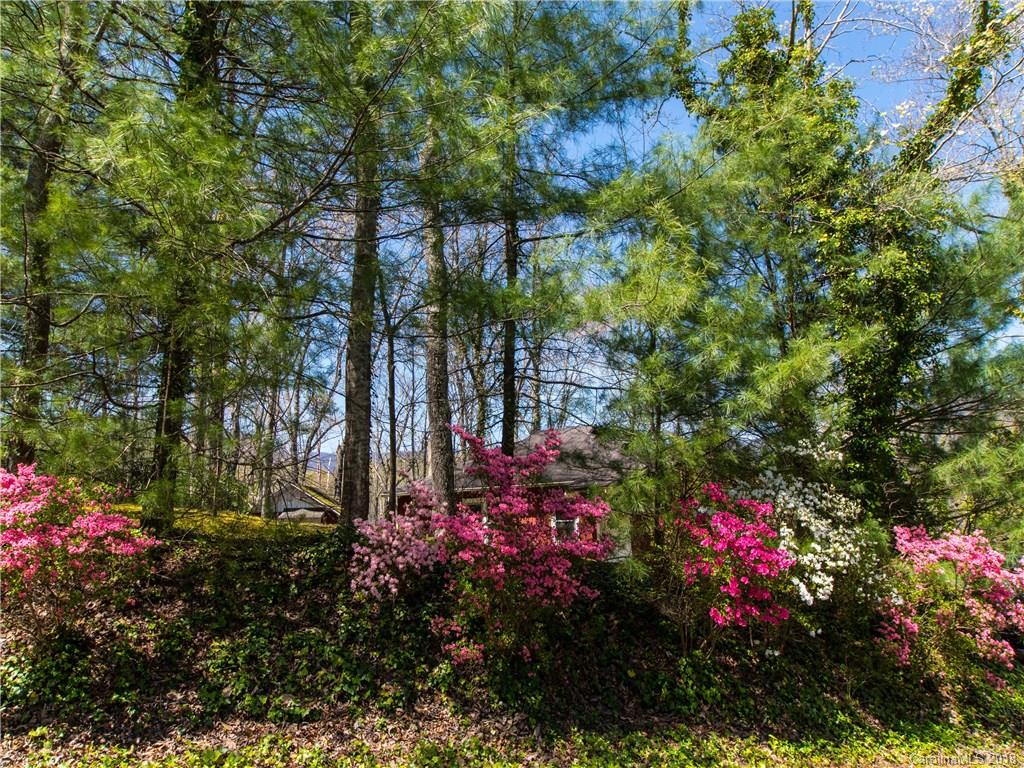 215 Picnic Point Road Lake Lure, NC 28746 - Photo 4 of 31 Gallery Image 4