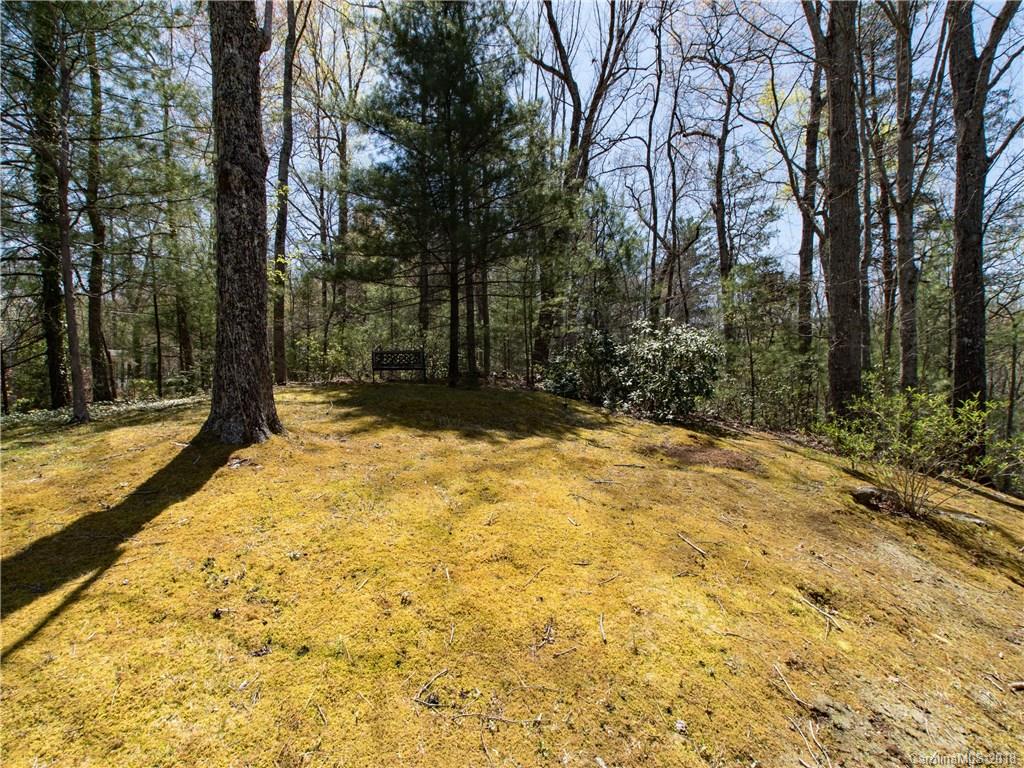 215 Picnic Point Road Lake Lure, NC 28746 - Photo 6 of 31 Gallery Image 6