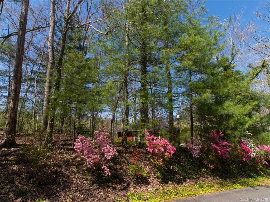 215 Picnic Point Road Lake Lure, NC 28746 - Photo 9 of 31 Gallery Image 9