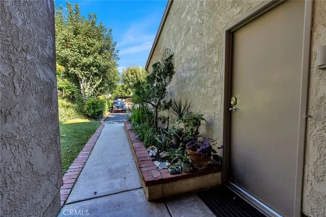 a view of a park with large trees