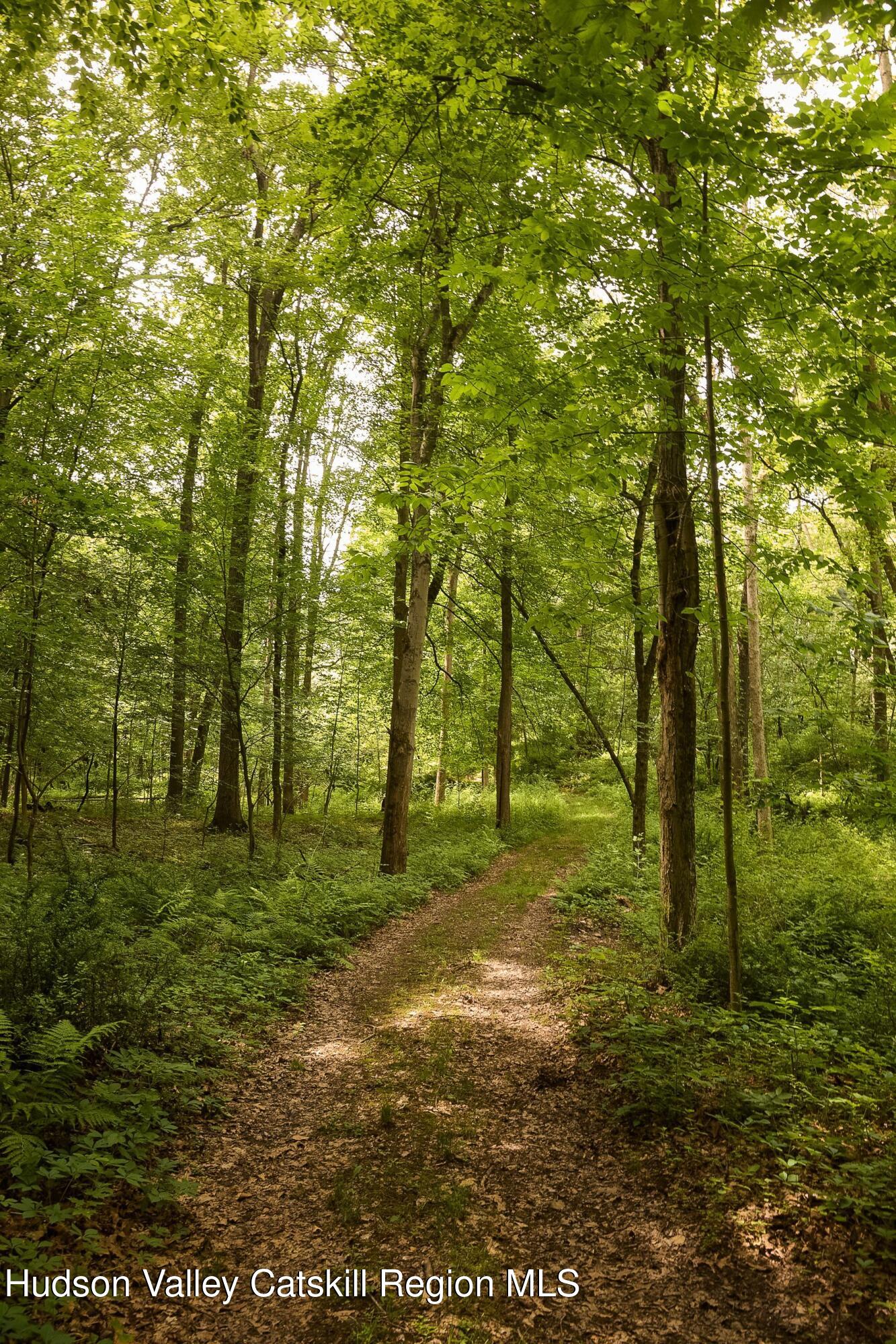 54 Fowler Lake Road Ghent, NY 12075 - Photo 26 of 30 photo_online_026