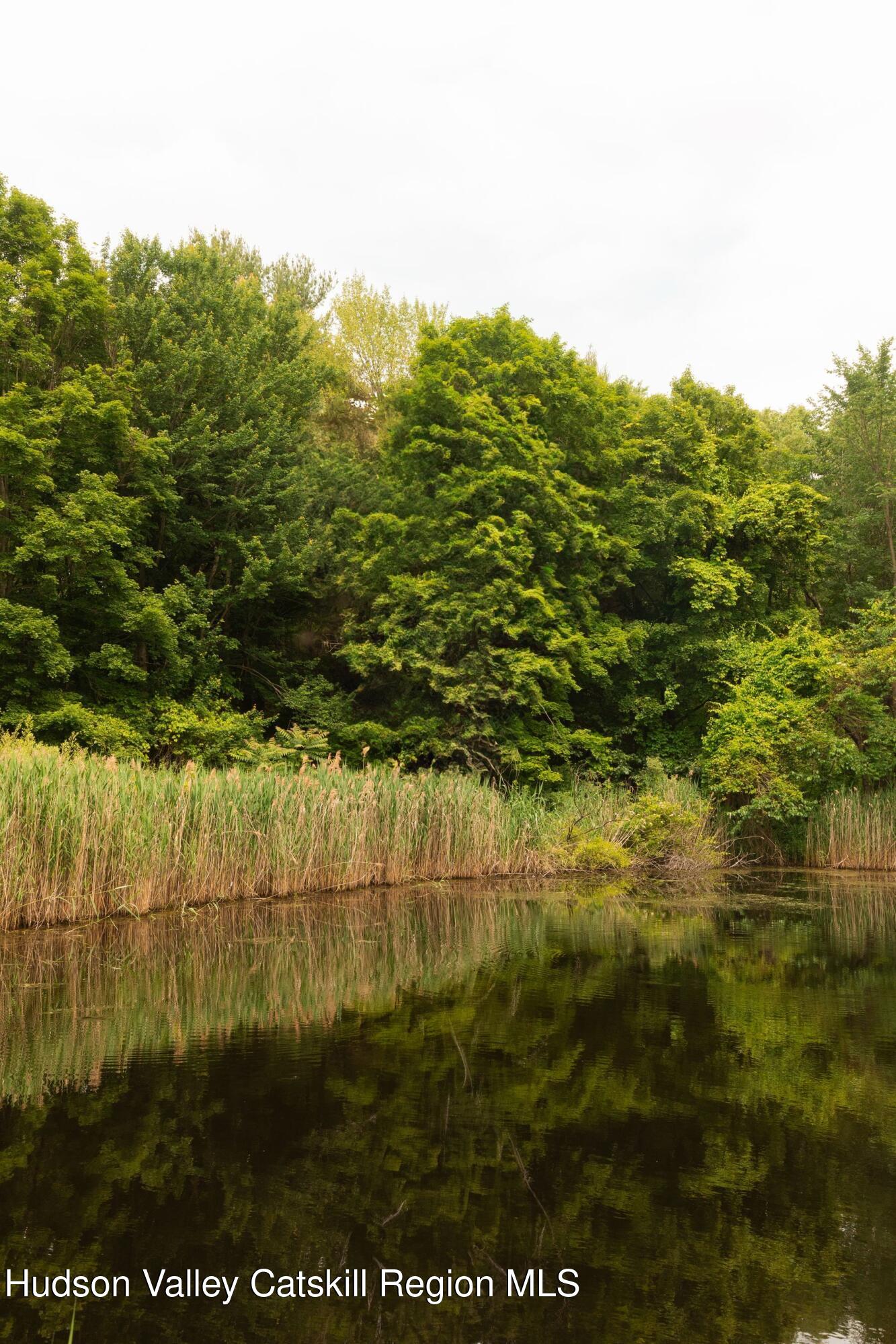 54 Fowler Lake Road Ghent, NY 12075 - Photo 27 of 30 photo_online_027