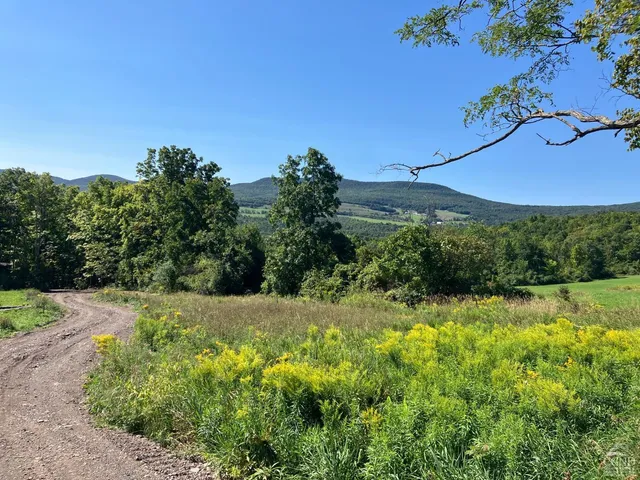 $98,000 | 0 County Route 20, Durham, NY 12422