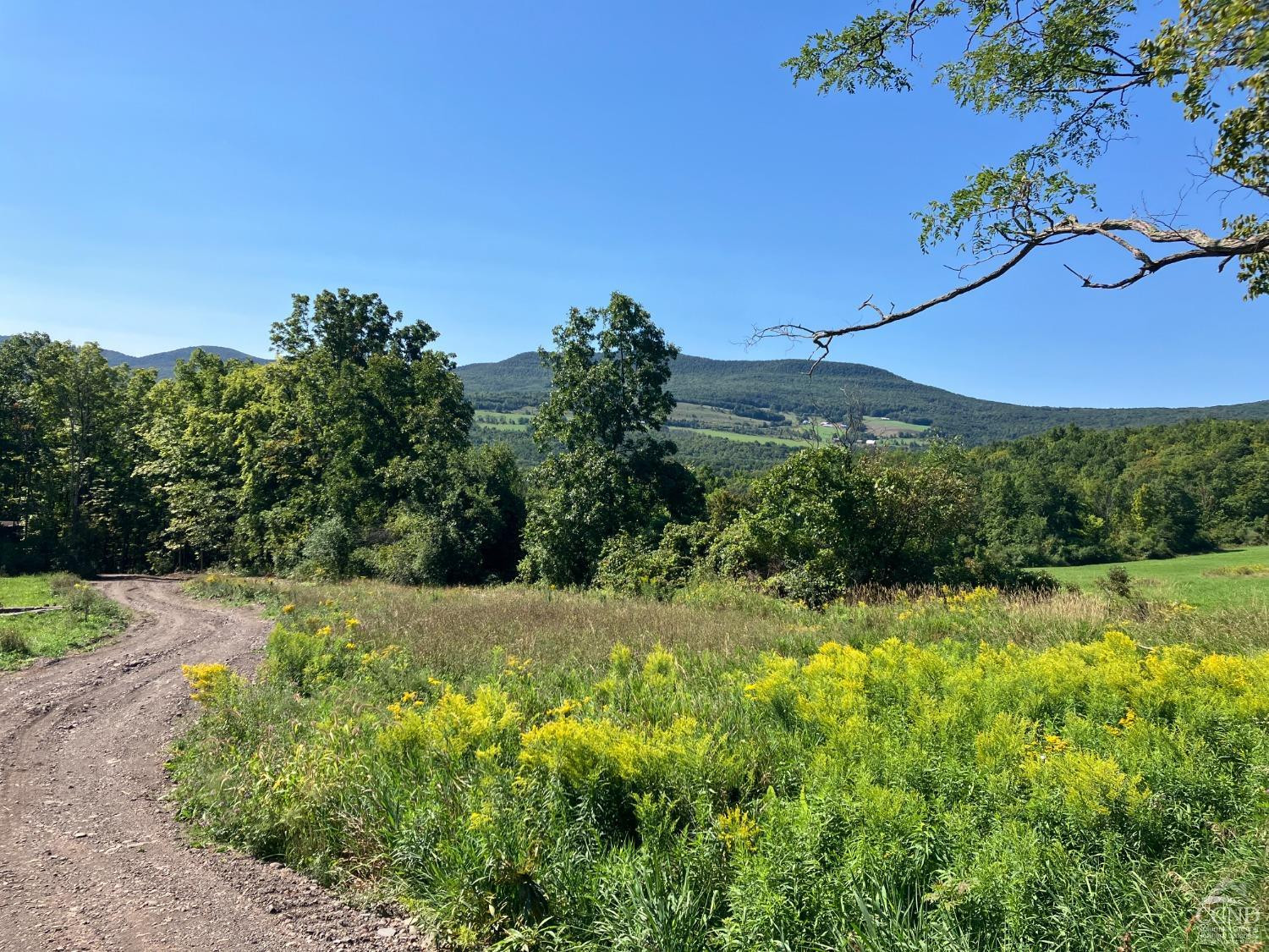 0 County Route 20 Durham, NY 12422 - Photo 1 of 11 Photo 1