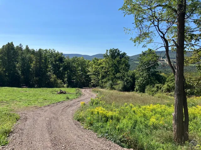 $98,000 | 0 County Route 20, Durham, NY 12422