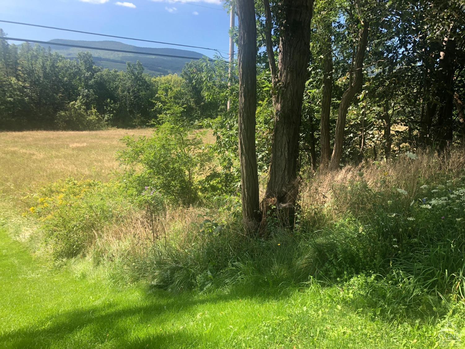 0 County Route 20 Durham, NY 12422 - Photo 4 of 11 Photo 4