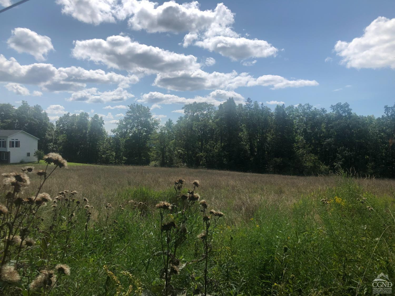 0 County Route 20 Durham, NY 12422 - Photo 5 of 11 Photo 5