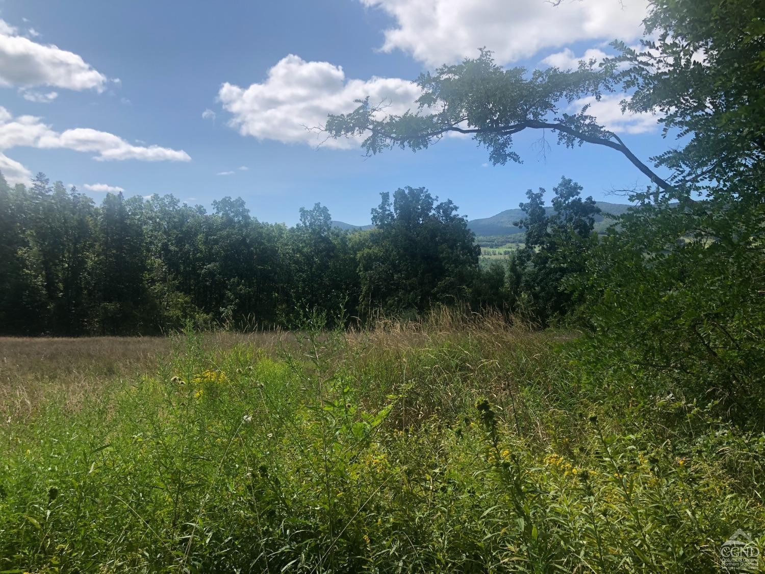 0 County Route 20 Durham, NY 12422 - Photo 6 of 11 Photo 6