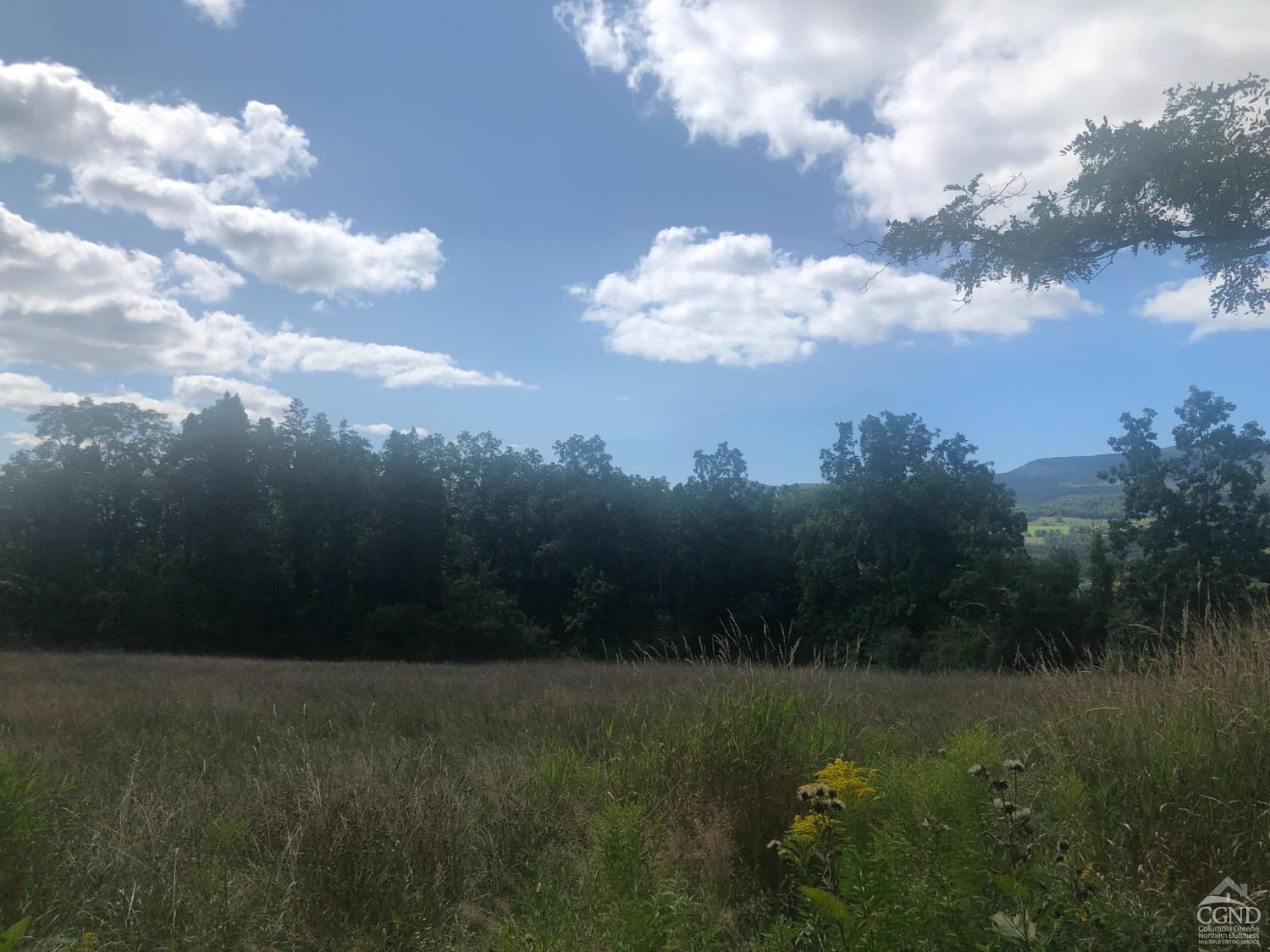 0 County Route 20 Durham, NY 12422 - Photo 7 of 11 Photo 7