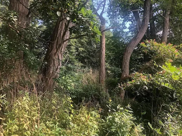 $98,000 | 0 County Route 20, Durham, NY 12422