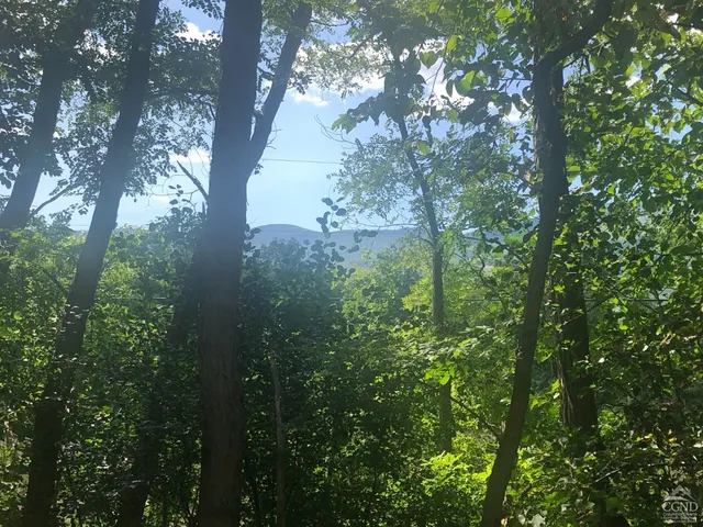 $98,000 | 0 County Route 20, Durham, NY 12422