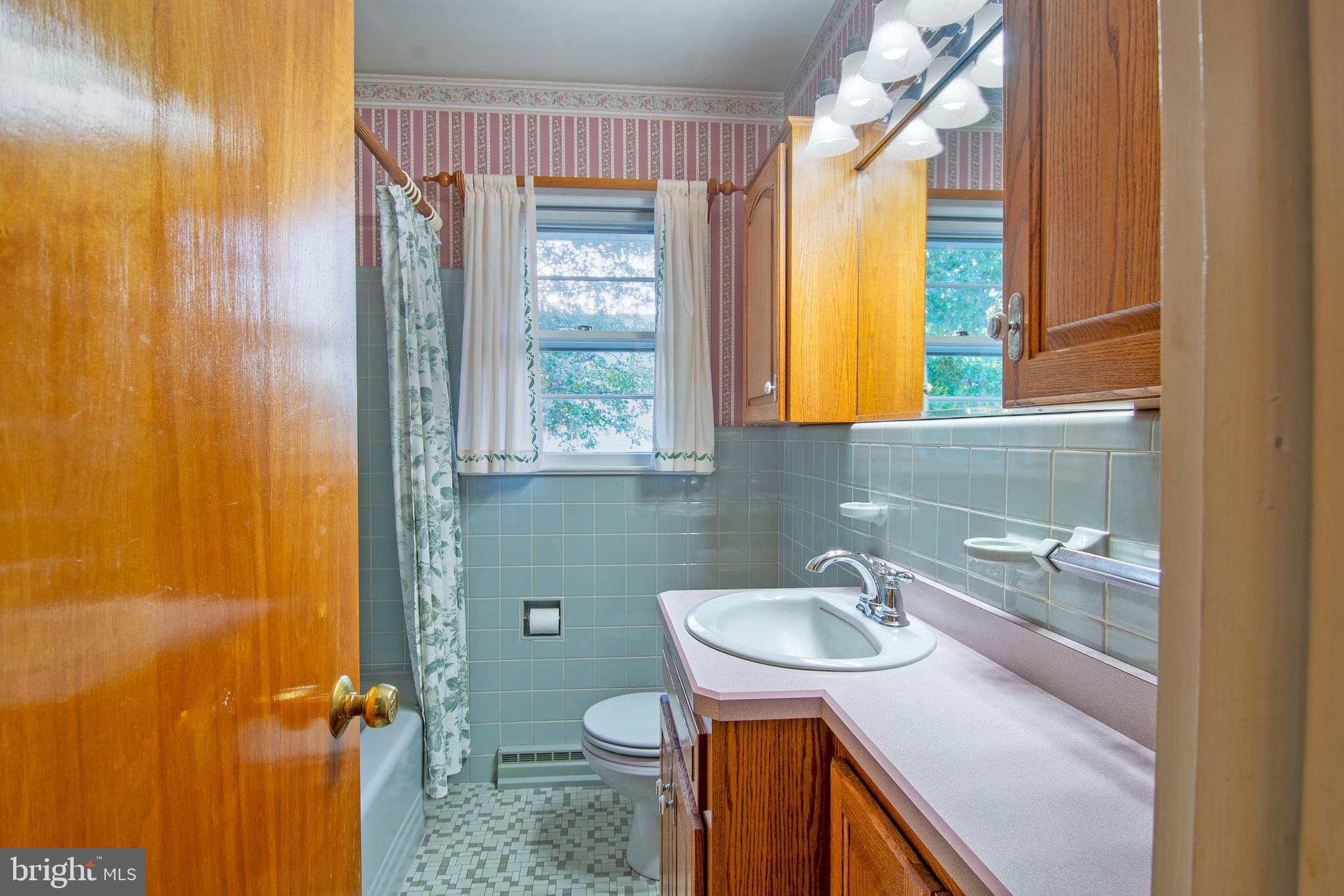 18532 Johnson Road Lincoln, DE 19960 - Photo 31 of 55 a bathroom with a sink a toilet and a shower