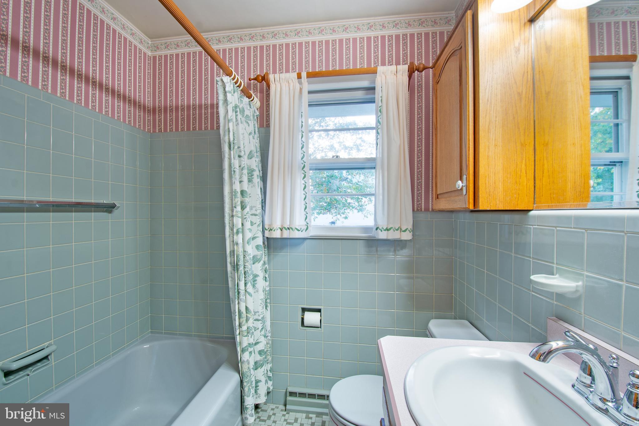 18532 Johnson Road Lincoln, DE 19960 - Photo 32 of 55 a bathroom with a sink a toilet and shower