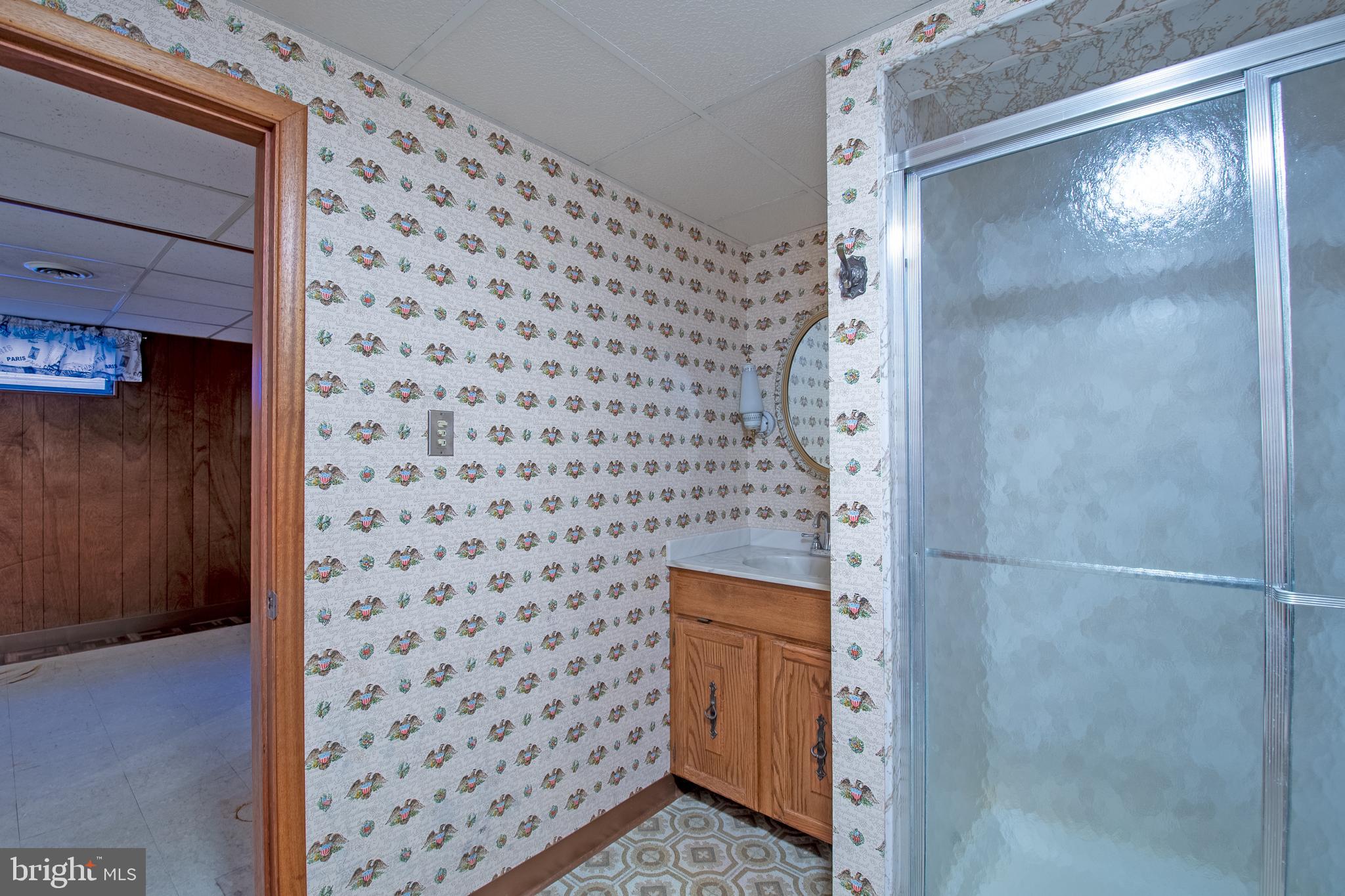 18532 Johnson Road Lincoln, DE 19960 - Photo 39 of 55 a bathroom with a shower and a sink