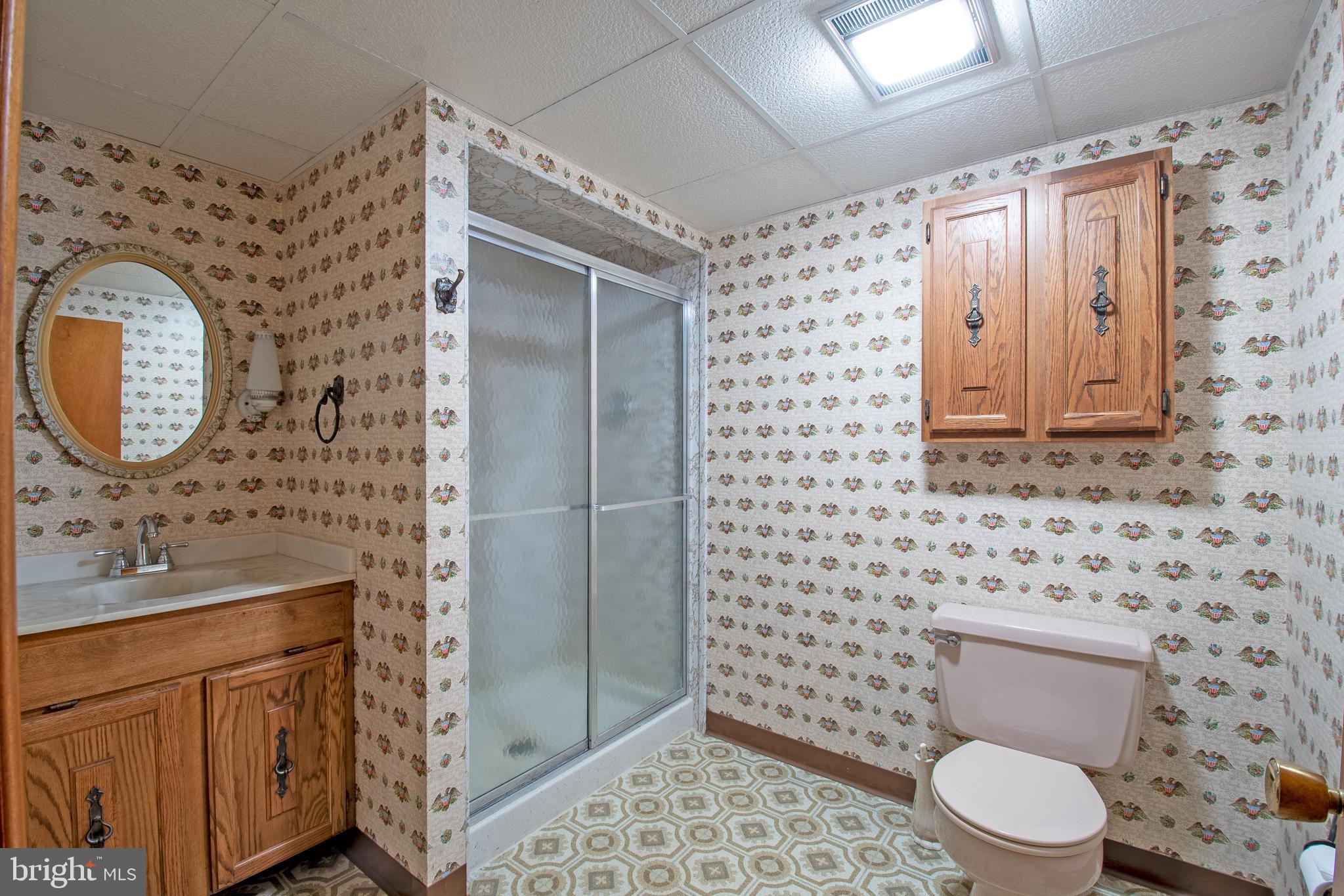 18532 Johnson Road Lincoln, DE 19960 - Photo 40 of 55 a bathroom with a sink toilet and shower