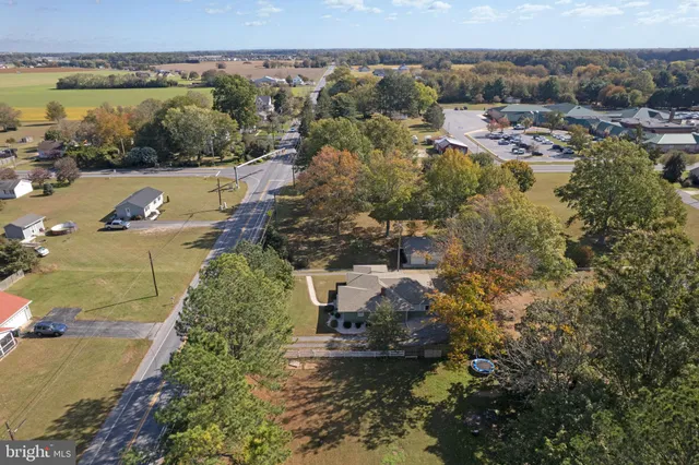 a view of a city with lush green forest