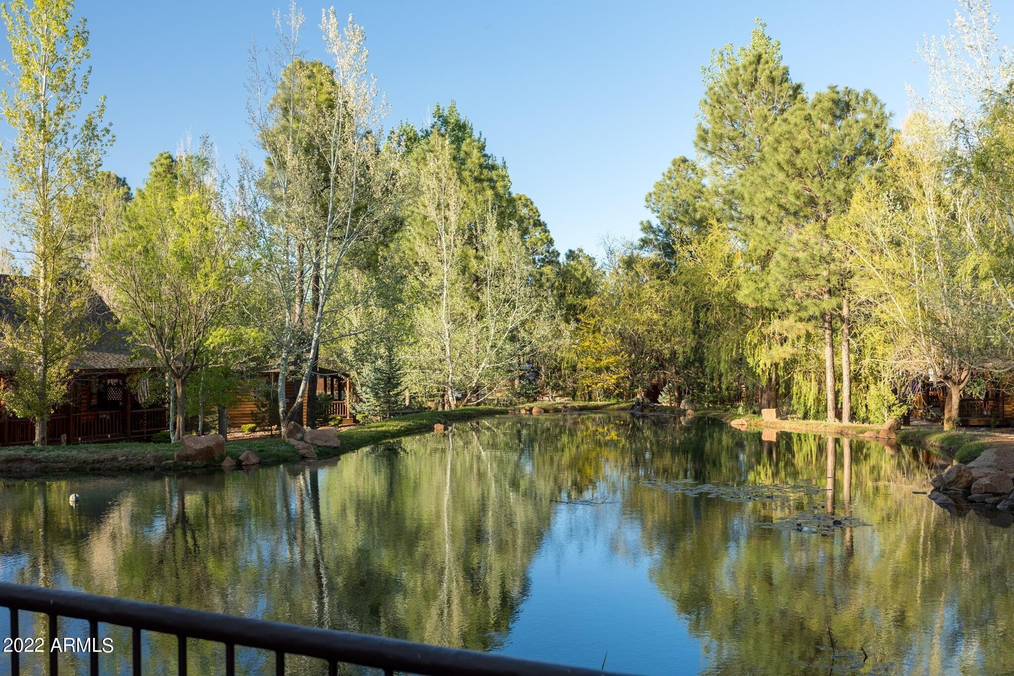 2322 Overgaard Springs Loop Overgaard, AZ 85933 - Photo 28 of 34 31