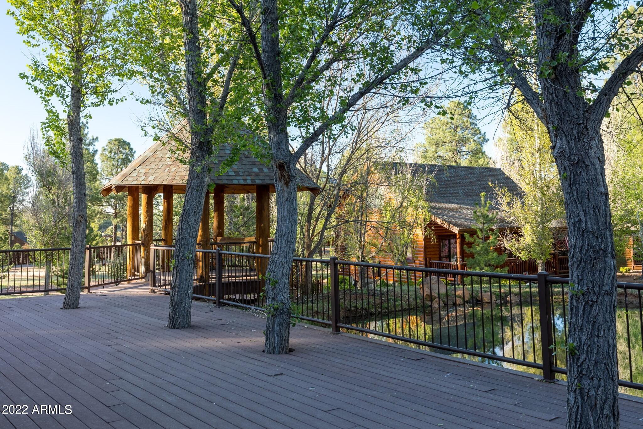 2322 Overgaard Springs Loop Overgaard, AZ 85933 - Photo 29 of 34 32