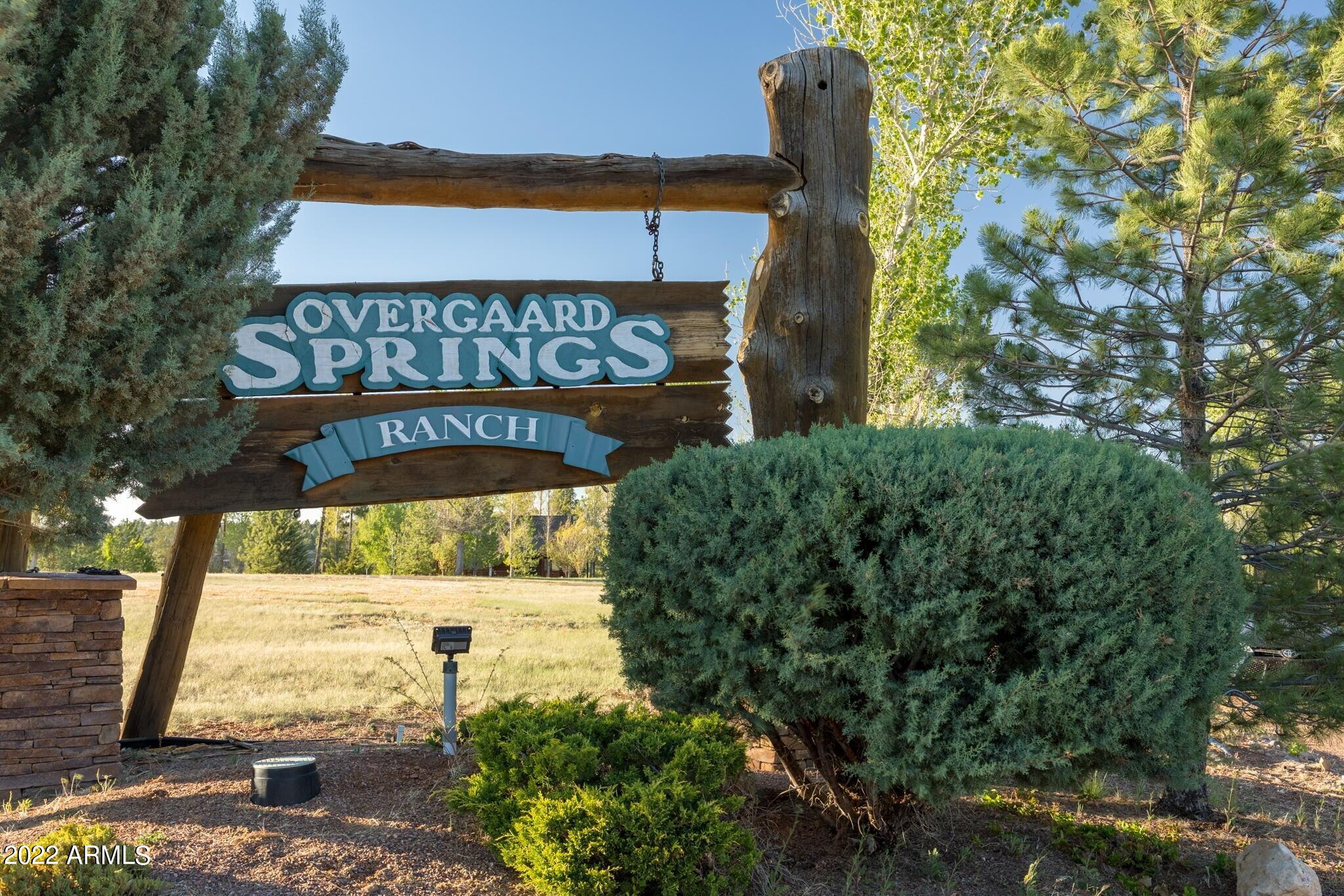 2322 Overgaard Springs Loop Overgaard, AZ 85933 - Photo 31 of 34 2