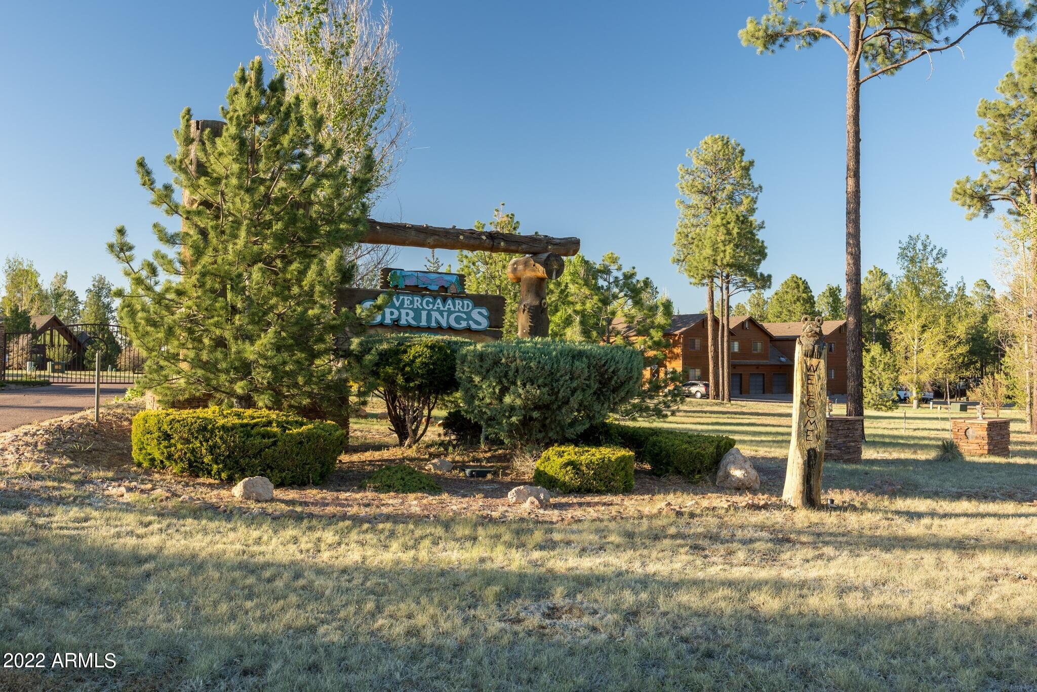 2322 Overgaard Springs Loop Overgaard, AZ 85933 - Photo 34 of 34 1