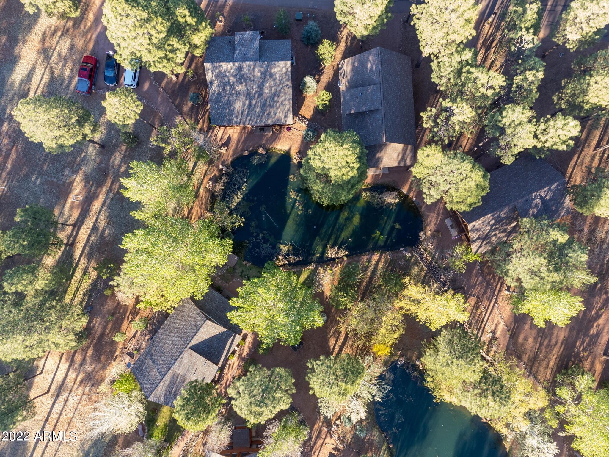 2322 Overgaard Springs Loop Overgaard, AZ 85933 - Photo 4 of 34 5