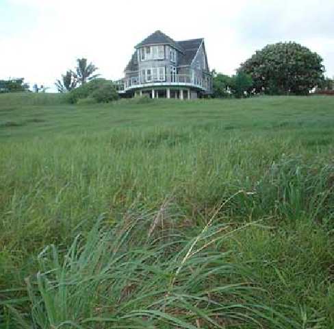 0 Huelo Church Road Haiku, HI 96708 - Photo 4 of 8 a view of a big house with a big yard and large trees