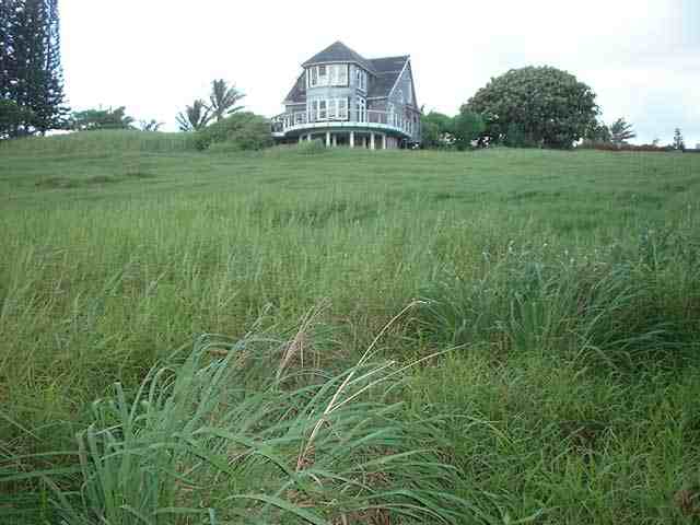 0 Huelo Church Road Haiku, HI 96708 - Photo 5 of 8 a view of a big yard with a house in the background