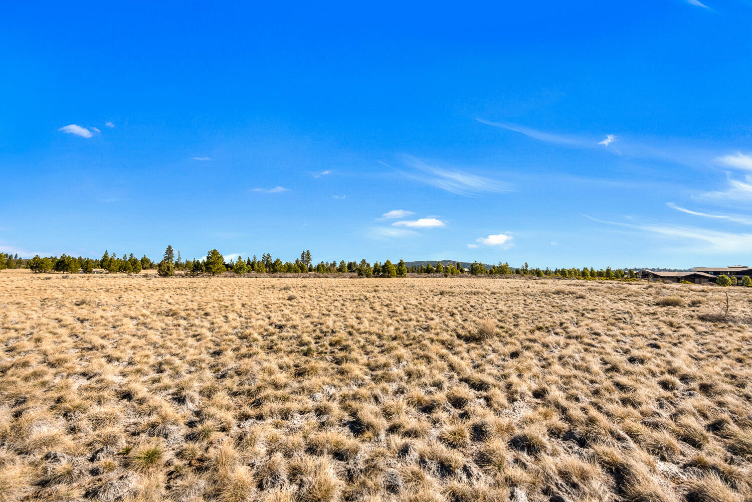 OReilly_20240402_4_295876_72ppi