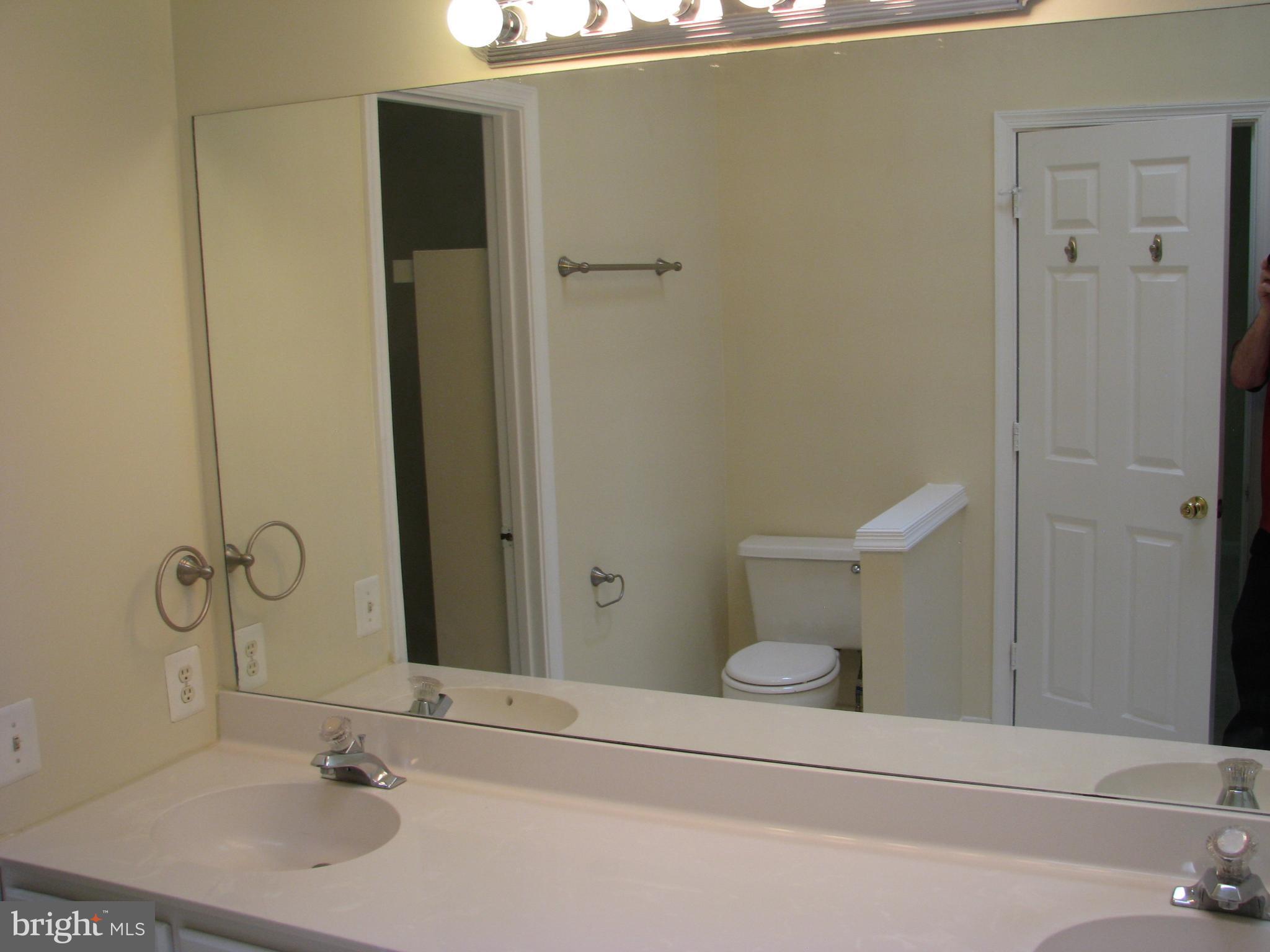 43836 Laburnum Square Ashburn, VA 20147 - Photo 17 of 30 Bath (Master)