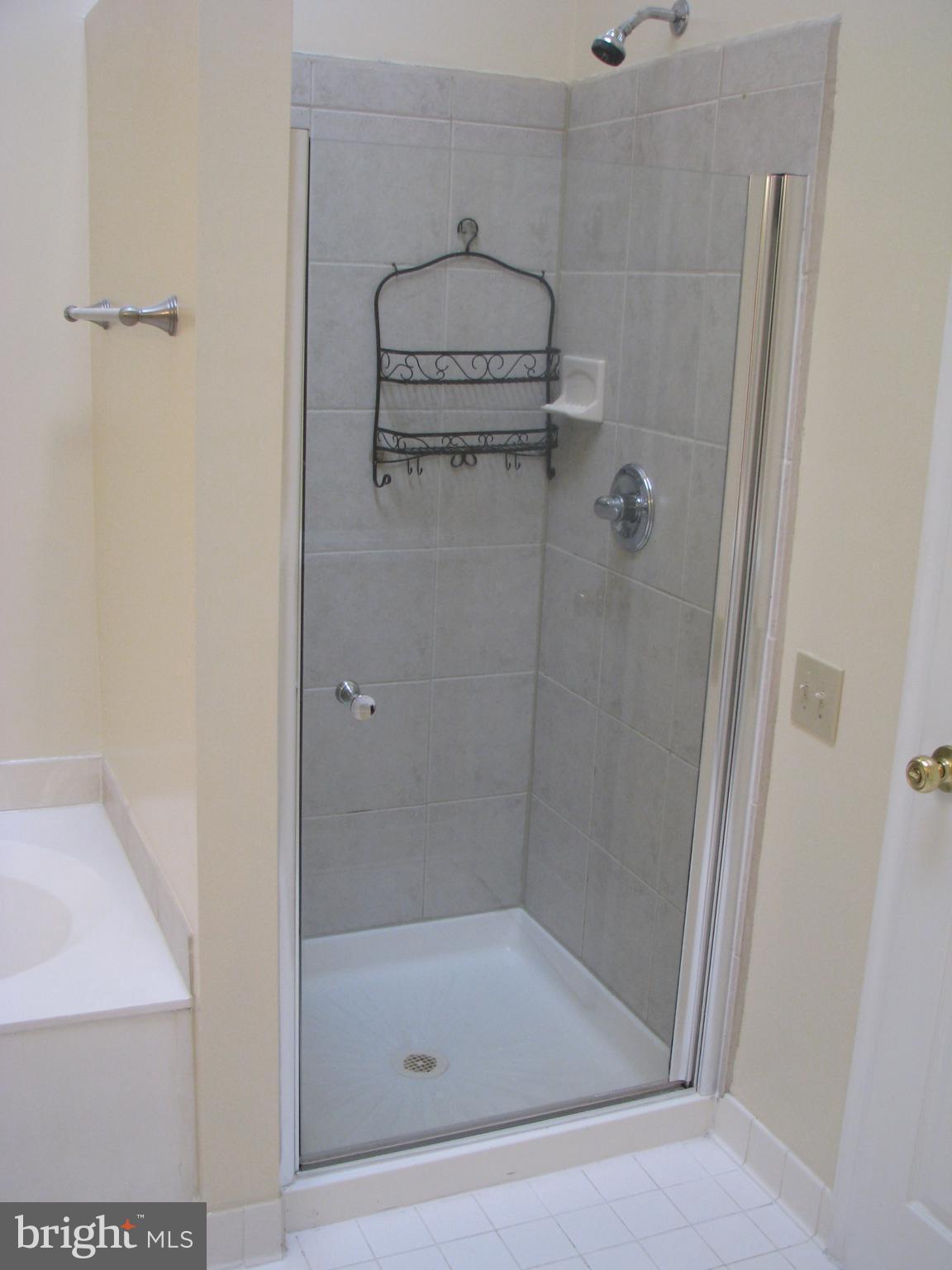 43836 Laburnum Square Ashburn, VA 20147 - Photo 18 of 30 Separate Shower and Large Soaking Tub in Master Ba