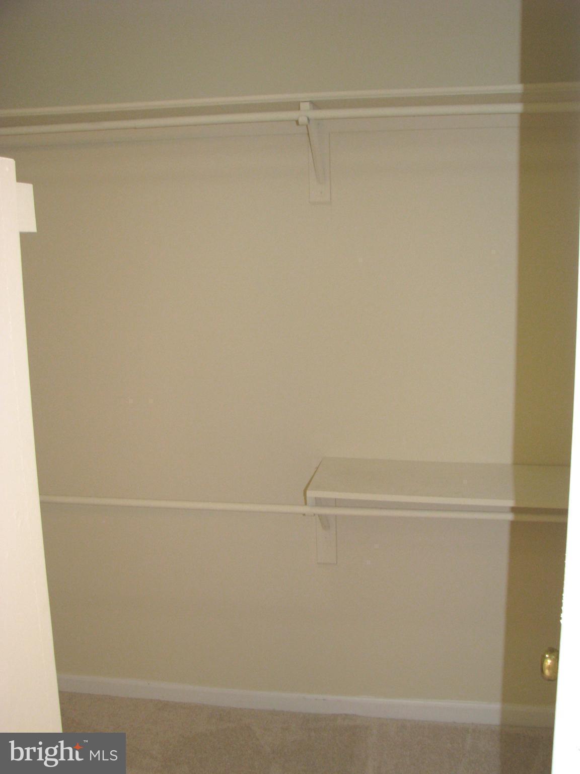 43836 Laburnum Square Ashburn, VA 20147 - Photo 20 of 30 Walk-in closet in Master Bath