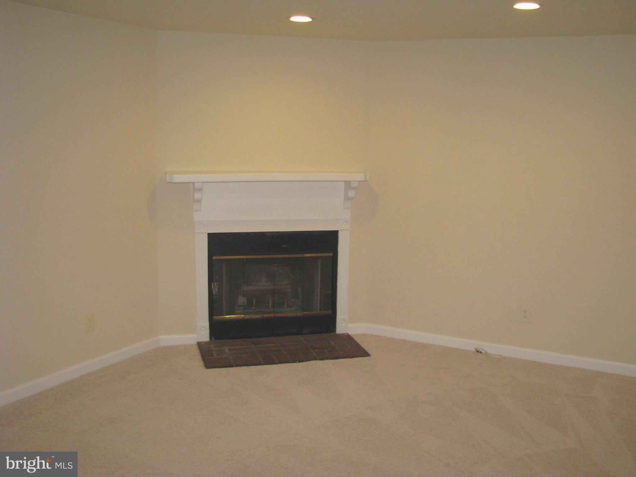 43836 Laburnum Square Ashburn, VA 20147 - Photo 23 of 30 Basement with Fireplace and 5 Recessed Lights