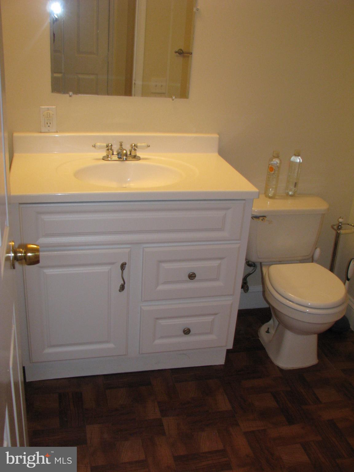 43836 Laburnum Square Ashburn, VA 20147 - Photo 25 of 30 Full bath on Lower level