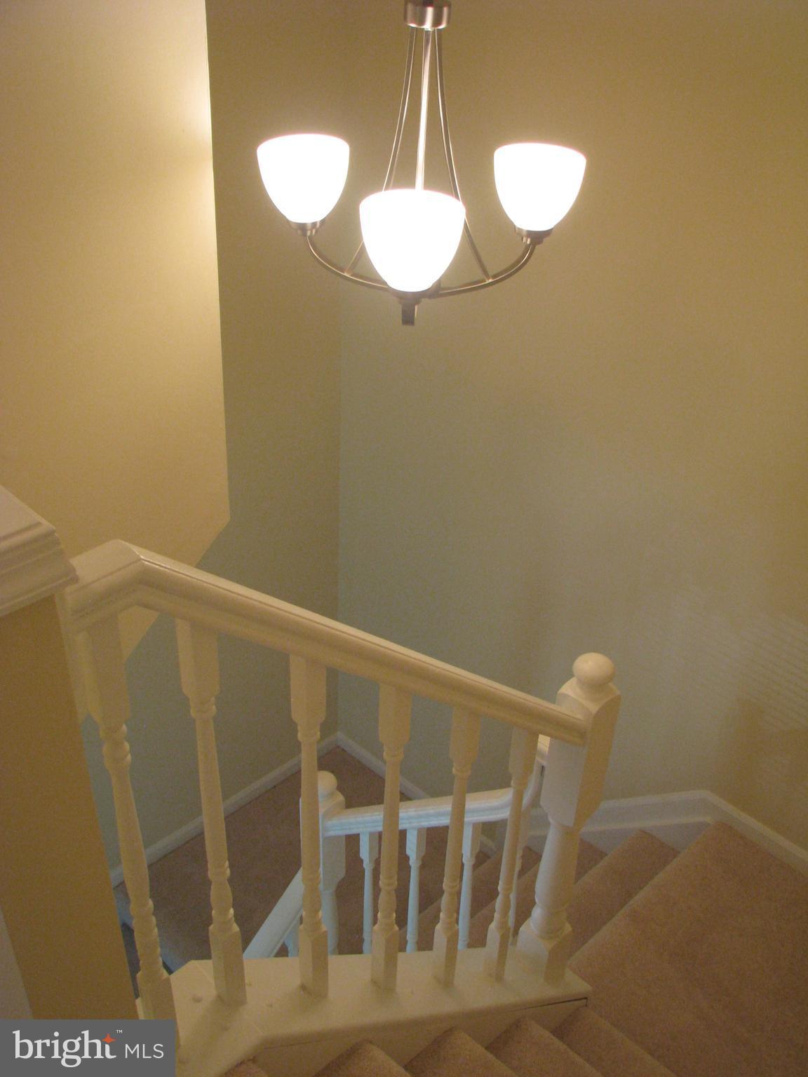 43836 Laburnum Square Ashburn, VA 20147 - Photo 10 of 30 Stairway with new Carpet and Lighting