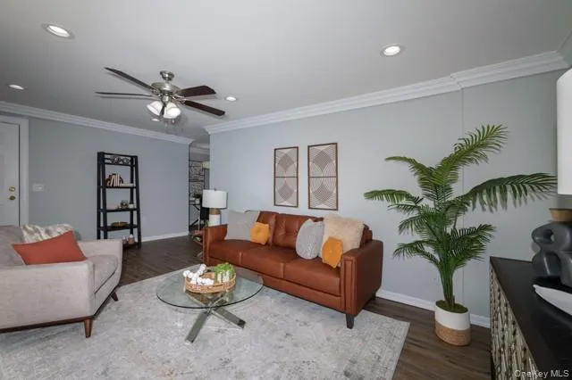 a living room with furniture potted plant and a rug
