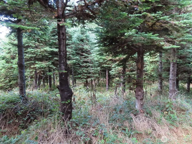 $199,900 | 2 State Route 101, South Bend, WA 98586