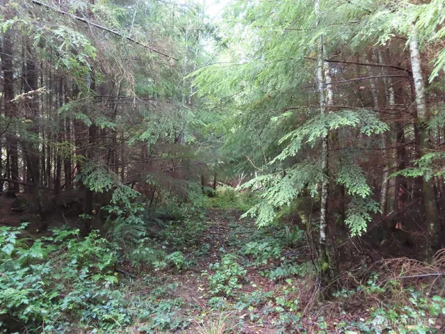 $199,900 | 2 State Route 101, South Bend, WA 98586