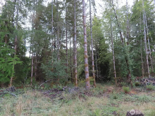 $199,900 | 2 State Route 101, South Bend, WA 98586