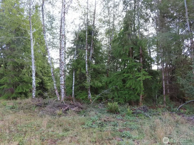 $199,900 | 2 State Route 101, South Bend, WA 98586