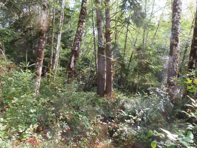 $199,900 | 2 State Route 101, South Bend, WA 98586