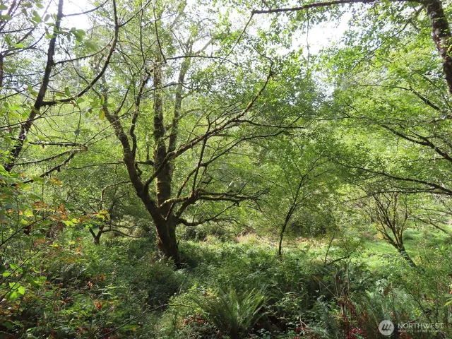 $199,900 | 2 State Route 101, South Bend, WA 98586