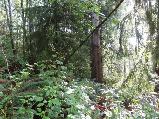 $199,900 | 2 State Route 101, South Bend, WA 98586