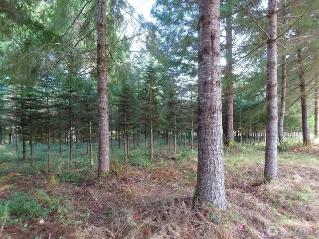 $199,900 | 2 State Route 101, South Bend, WA 98586