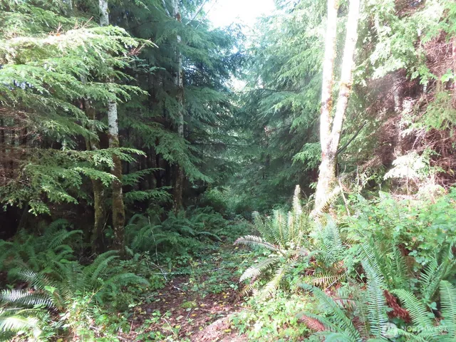 $199,900 | 2 State Route 101, South Bend, WA 98586