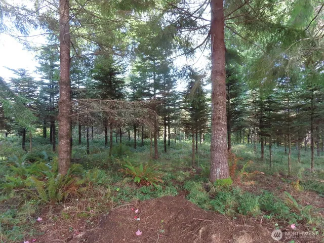 $199,900 | 2 State Route 101, South Bend, WA 98586