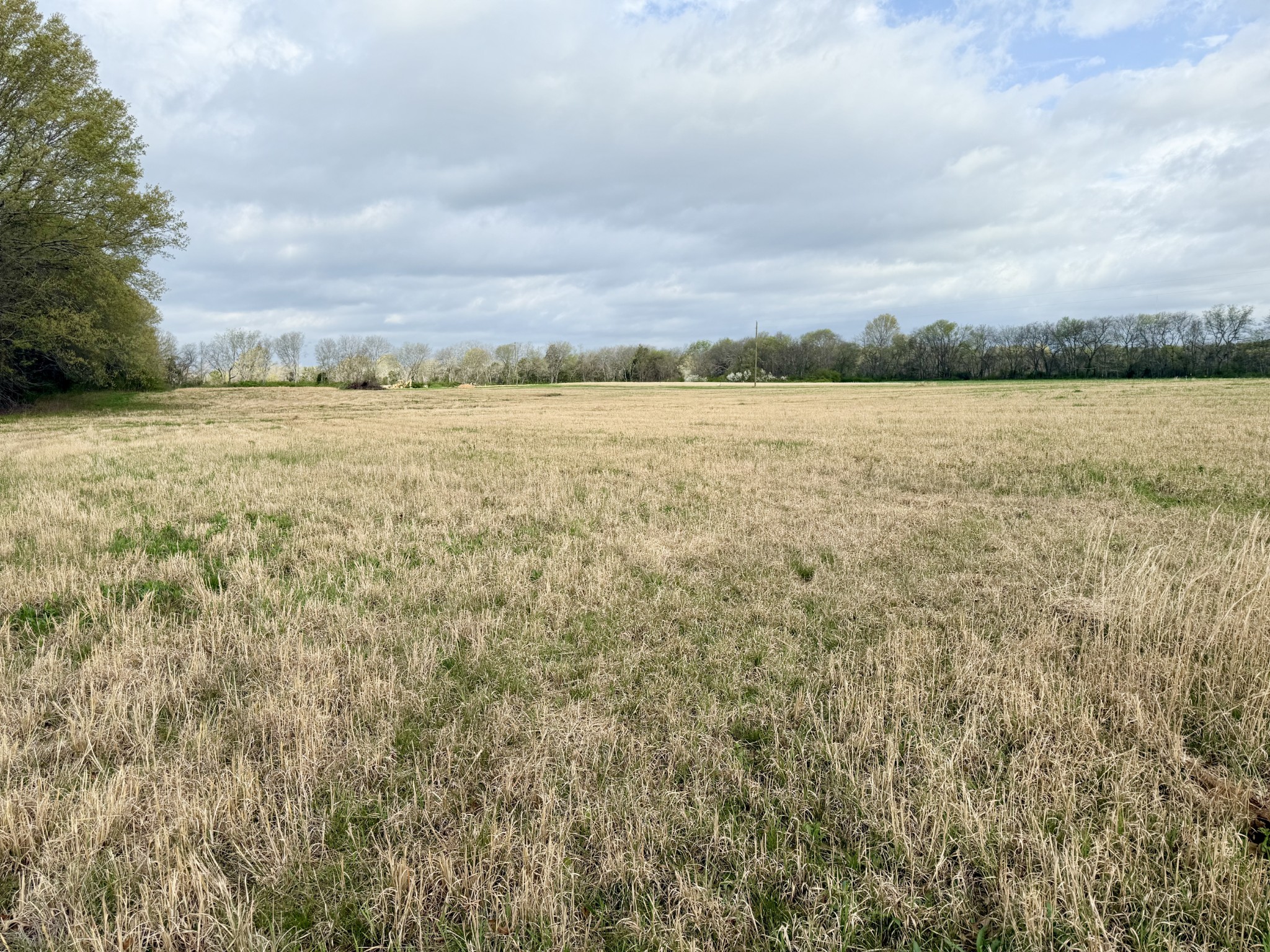 2471 Taylor Lane Eagleville, TN 37060 - Photo 3 of 8