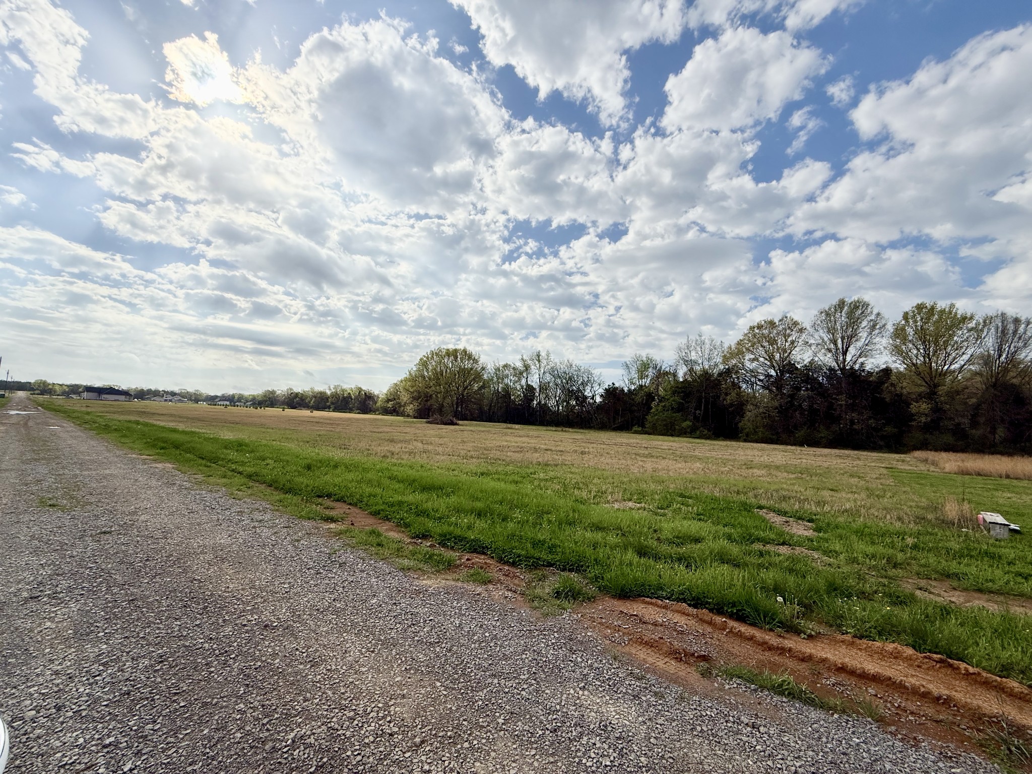 2471 Taylor Lane Eagleville, TN 37060 - Photo 5 of 8