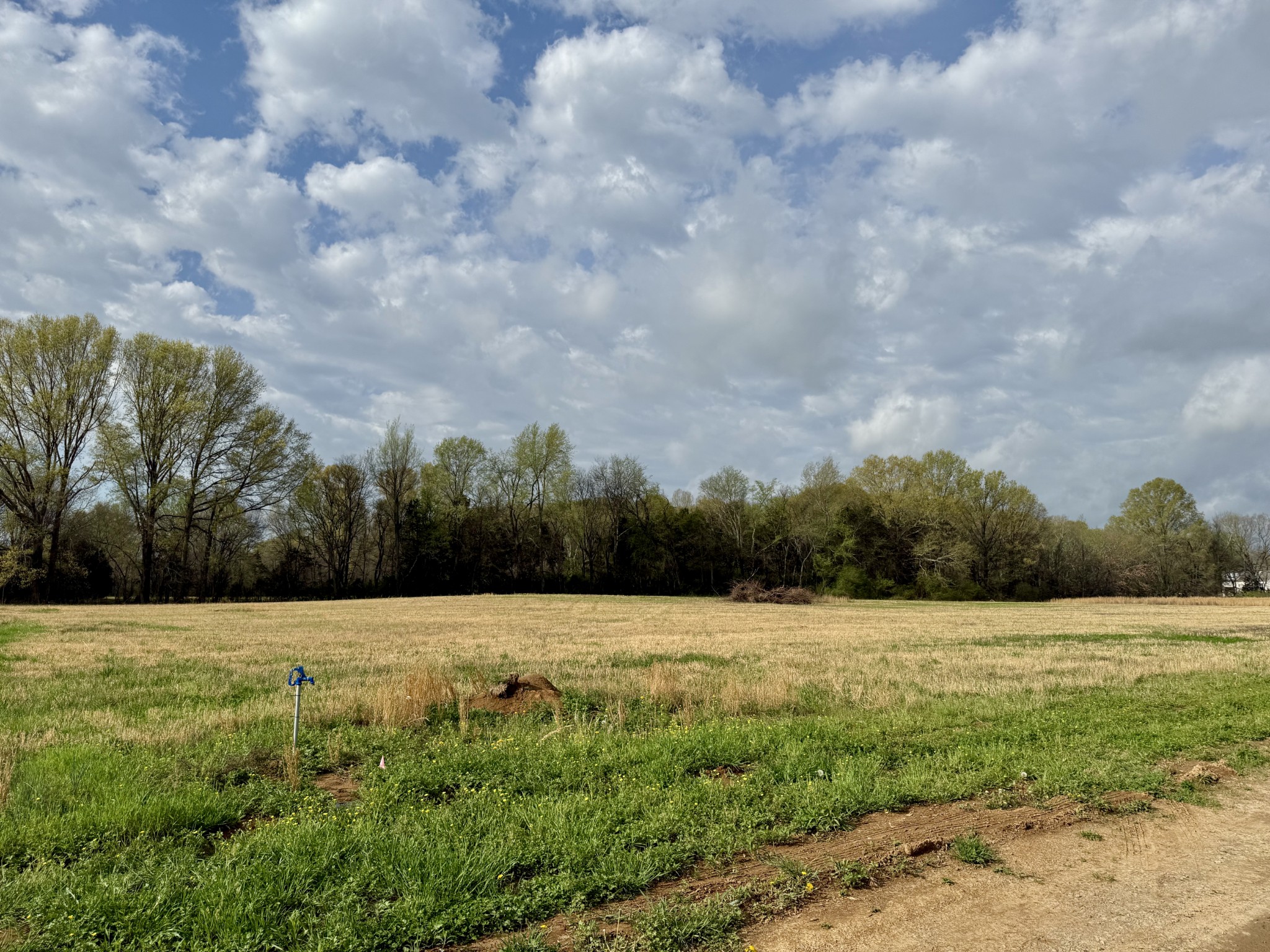 2471 Taylor Lane Eagleville, TN 37060 - Photo 6 of 8